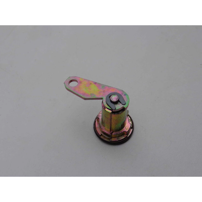 Cilindro de Porta Ford F-1000 F-4000 1993 a 1998 Direito