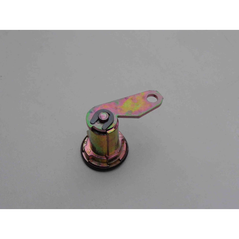 Cilindro de Porta Ford F-1000 F-4000 1993 a 1998 Esquerdo