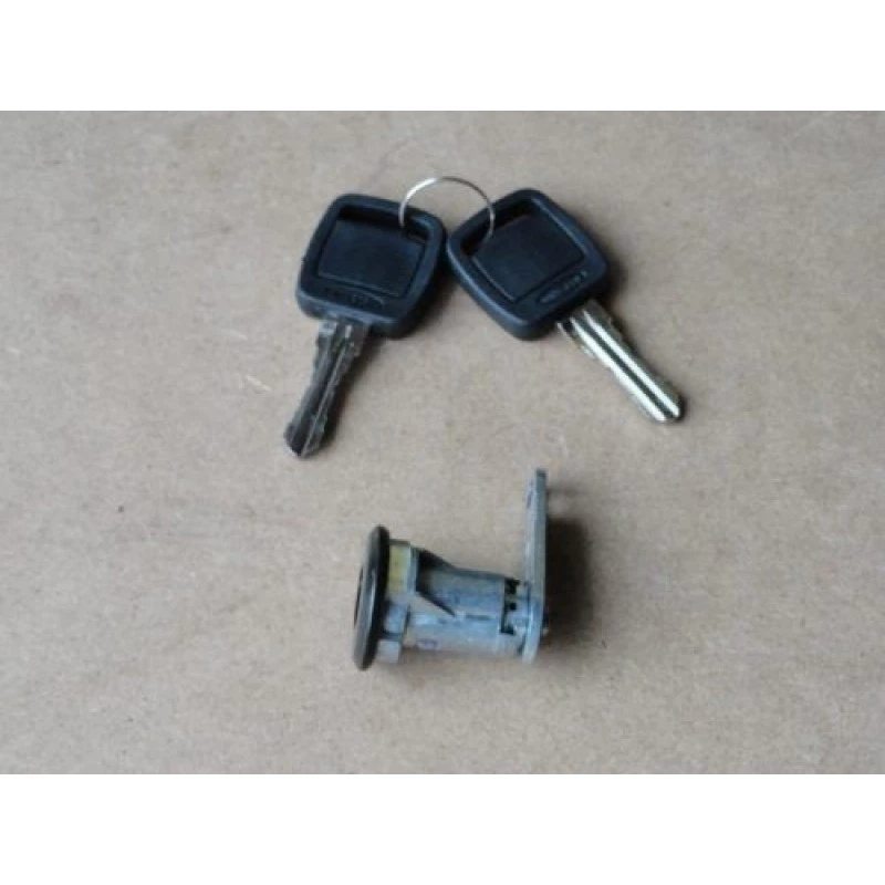 Cilindro Porta F-1000 F-4000 93 à 98 Esquerdo