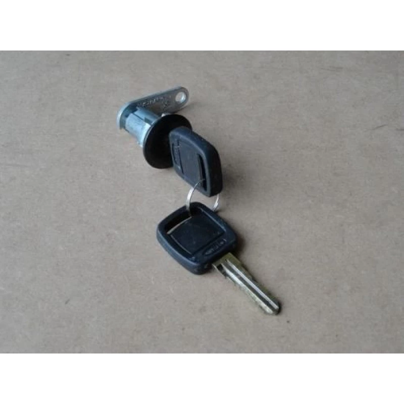 Cilindro Porta F-1000 F-4000 93 à 98 Direito