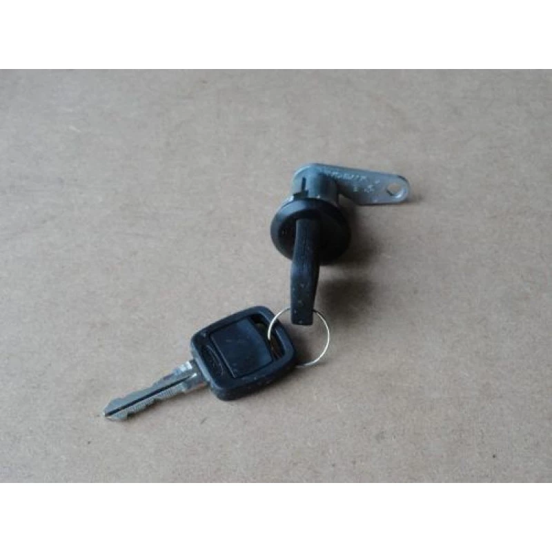 Cilindro Porta F-1000 F-4000 93 à 98 Direito