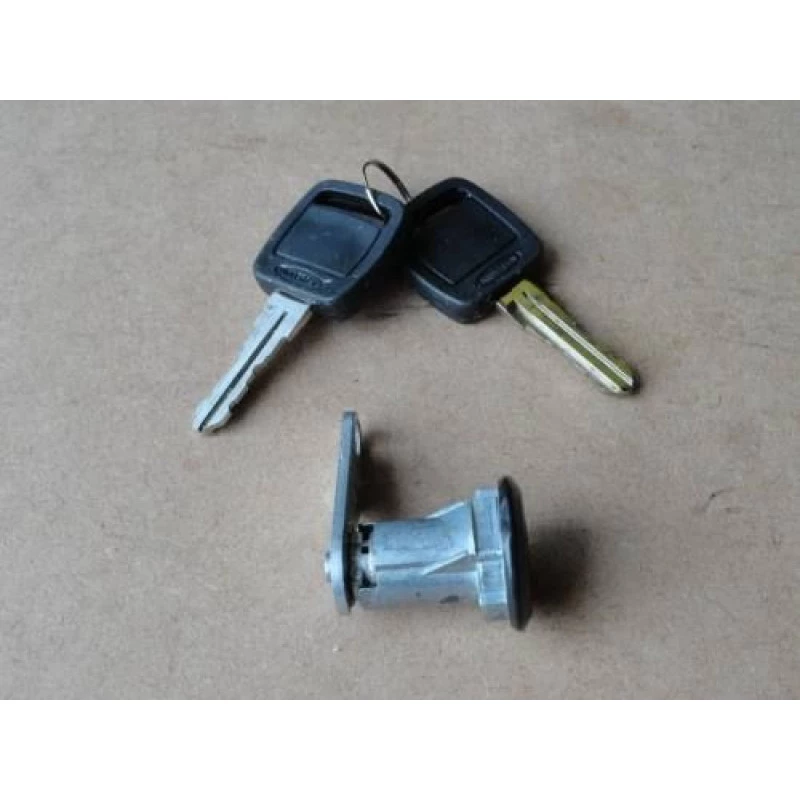 Cilindro Porta F-1000 F-4000 93 à 98 Direito