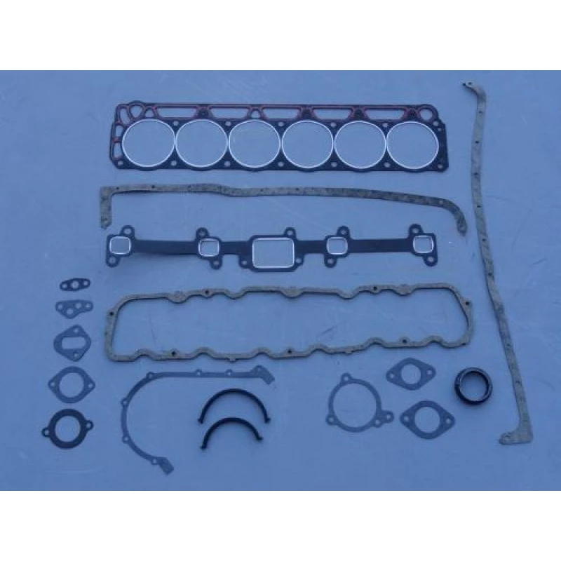 Junta Motor F-1000 3.6 Gasolina Falcon 3.1