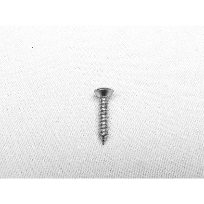Parafuso Cabeça Cônica Phillips 4,8 x 25mm Auto Atarraxante Zincado Jogo com 10