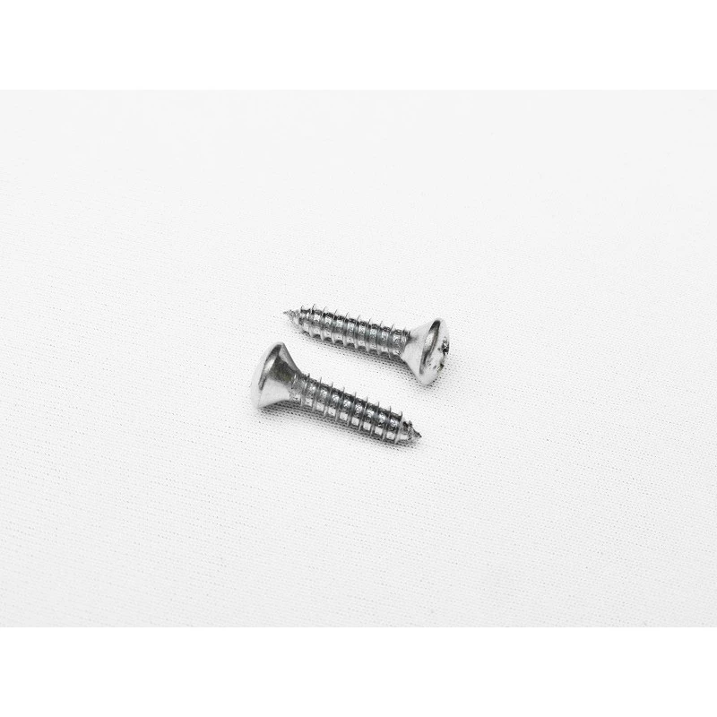 Parafuso Cabeça Cônica Phillips 4,2 x 19mm Auto Atarraxante Zincado Jogo com 10