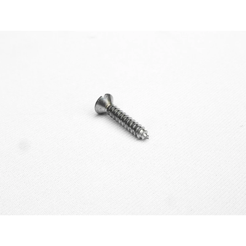 Parafuso Cabeça Cônica Fenda 3,8 x 19mm Auto Atarraxante Zincado Jogo com 10