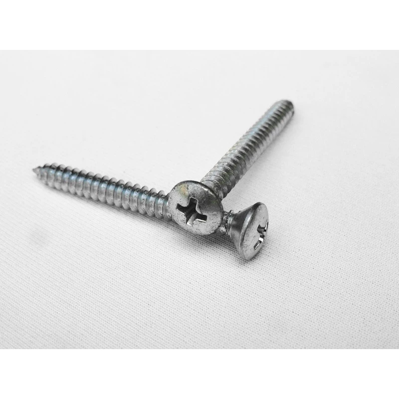 Parafuso Cabeça Cônica Phillips 4,8 x 46mm Auto Atarraxante Zincado Jogo com 10
