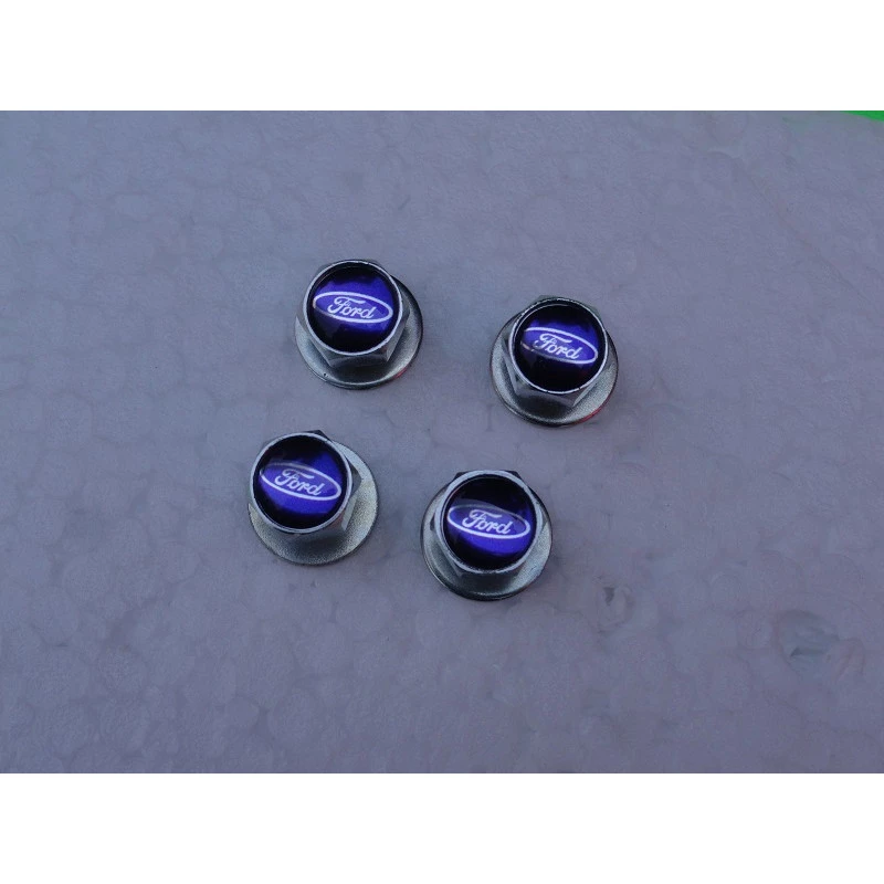 Parafuso Placa Logo Ford Resinado Jogo com 4