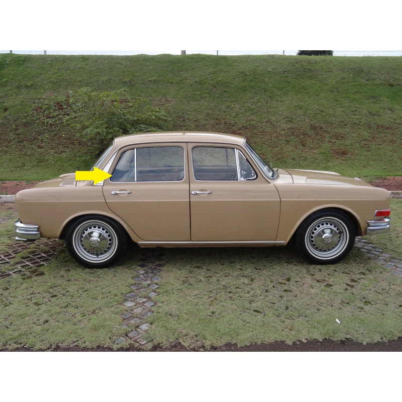 Vidro Lateral Traseiro Fixo Pequeno Verde Zé Caixão Vw 1600