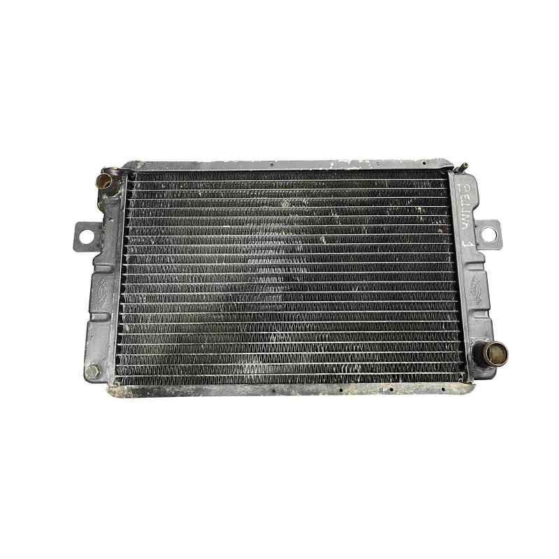 Radiador Corcel I Belina até 1977 Original Bongotti Testado Usado