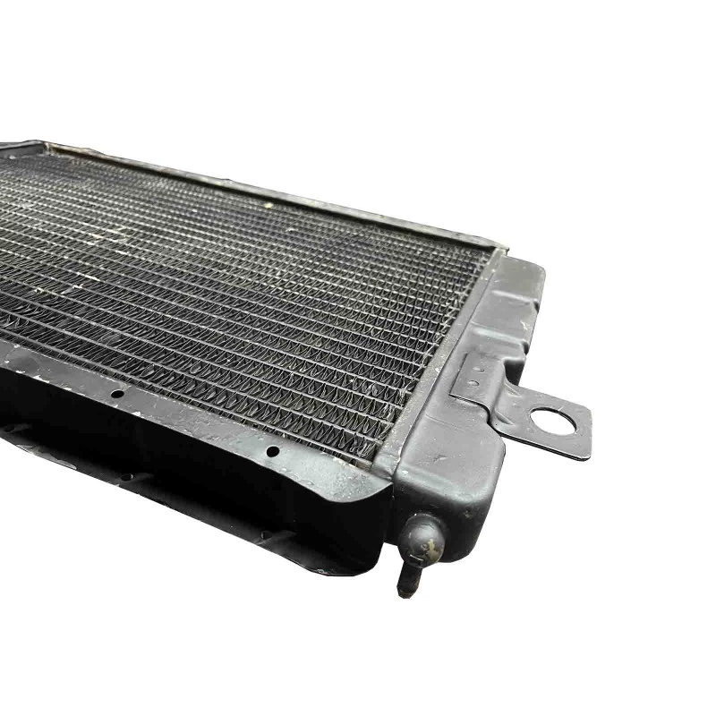 Radiador Corcel I Belina até 1977 Original Bongotti Testado Usado