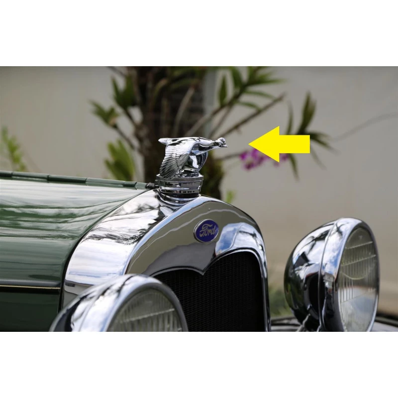 Tampa do Radiador Ford A 1930 a 1931 Codorninha Importada